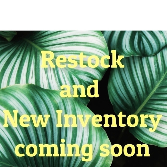 RESTOCK Genevesca Boutique & New Inventory - Picture 1 of 1